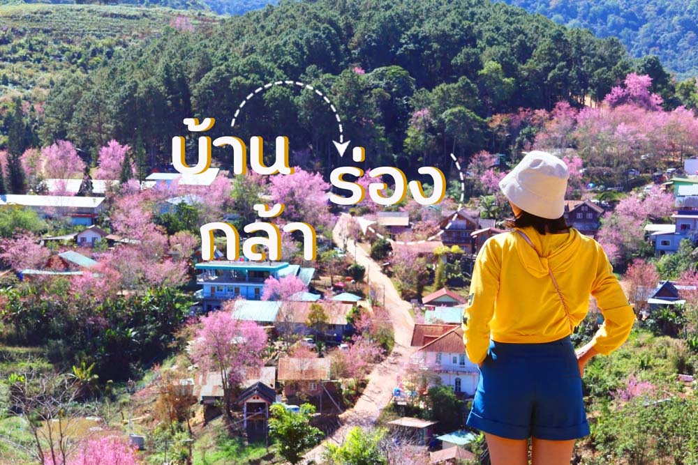 บ้านร่องกล้า