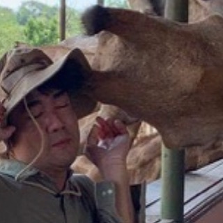 เซลฟี่กับยีราฟ