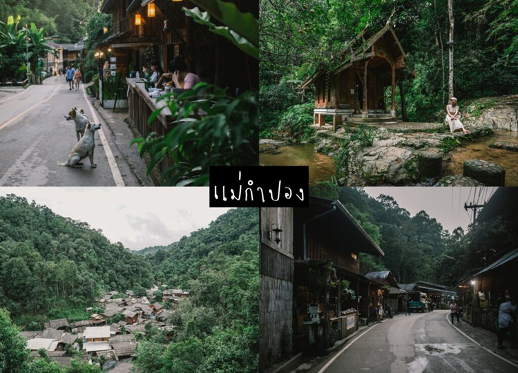 เที่ยวเชียวใหม่
