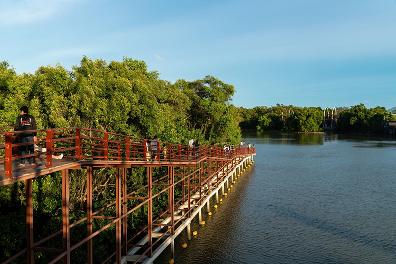 ศูนย์การเรียนรู้ป่าชายเลนพระเจดีย์กลางน้ำ