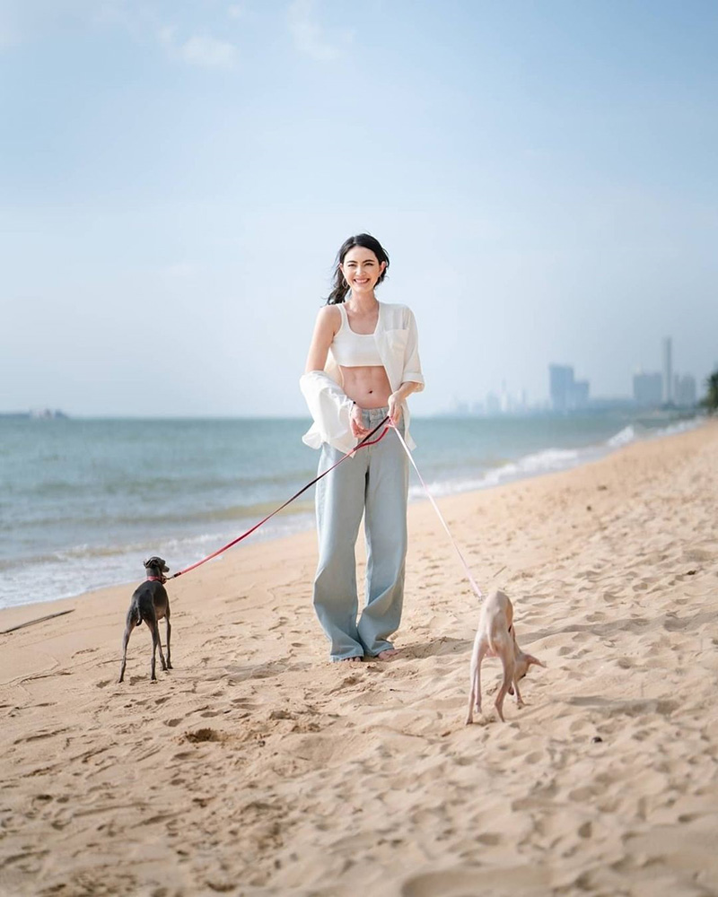 ใหม่ ดาวิกา