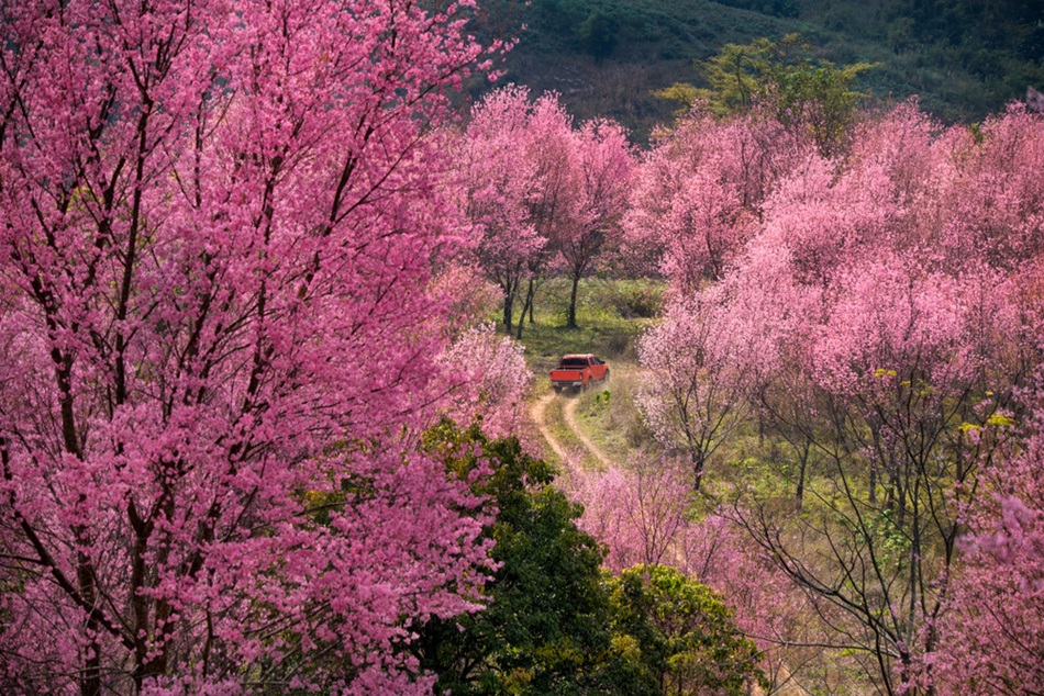ภูลมโล