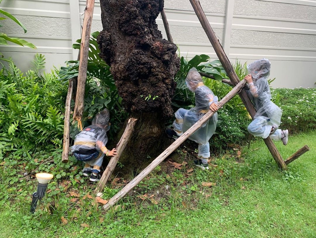 กาย - ฮารุ