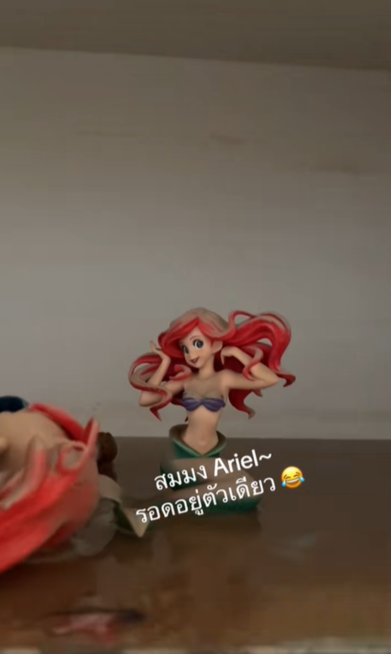 ของสะสม