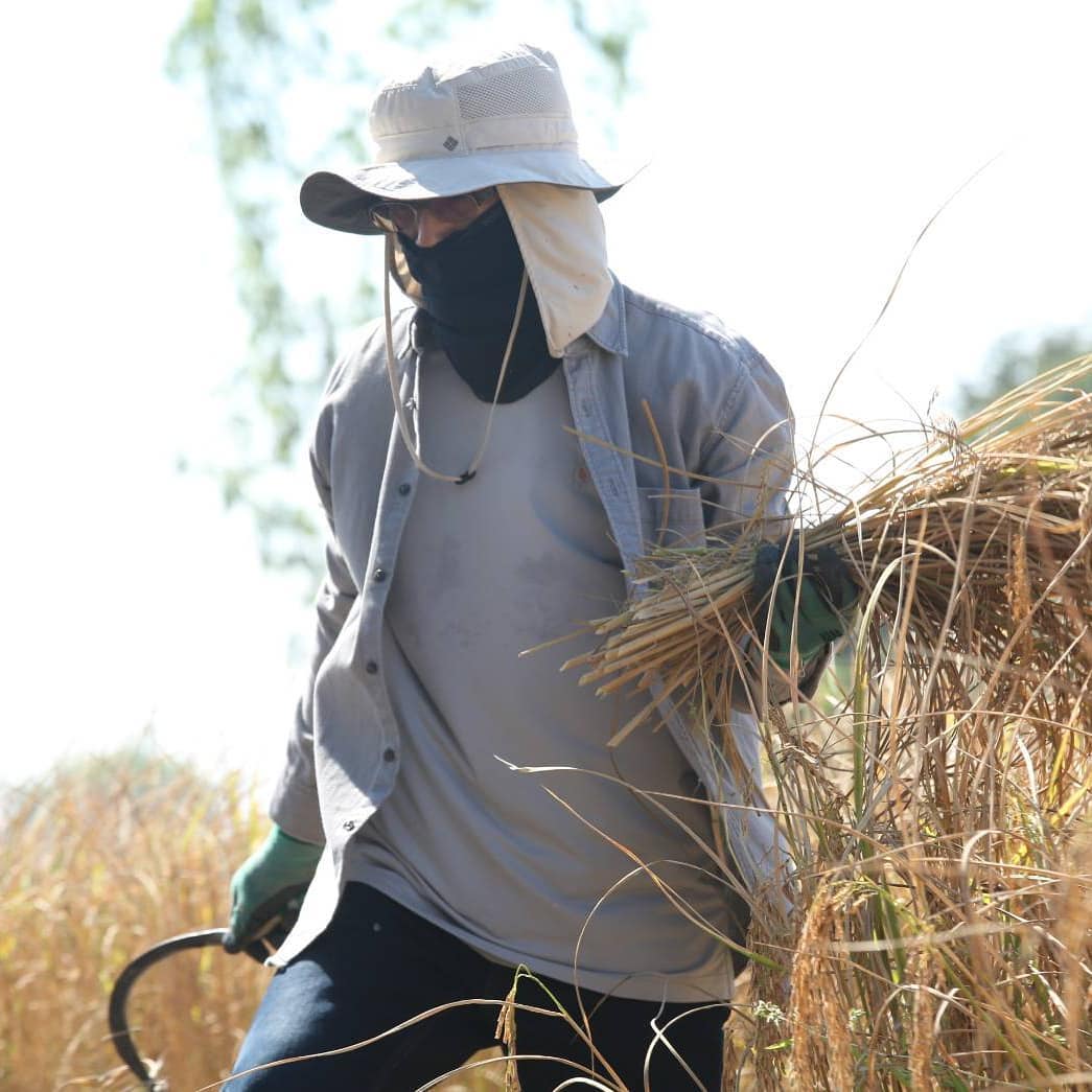 กิตติ สิงหาปัด