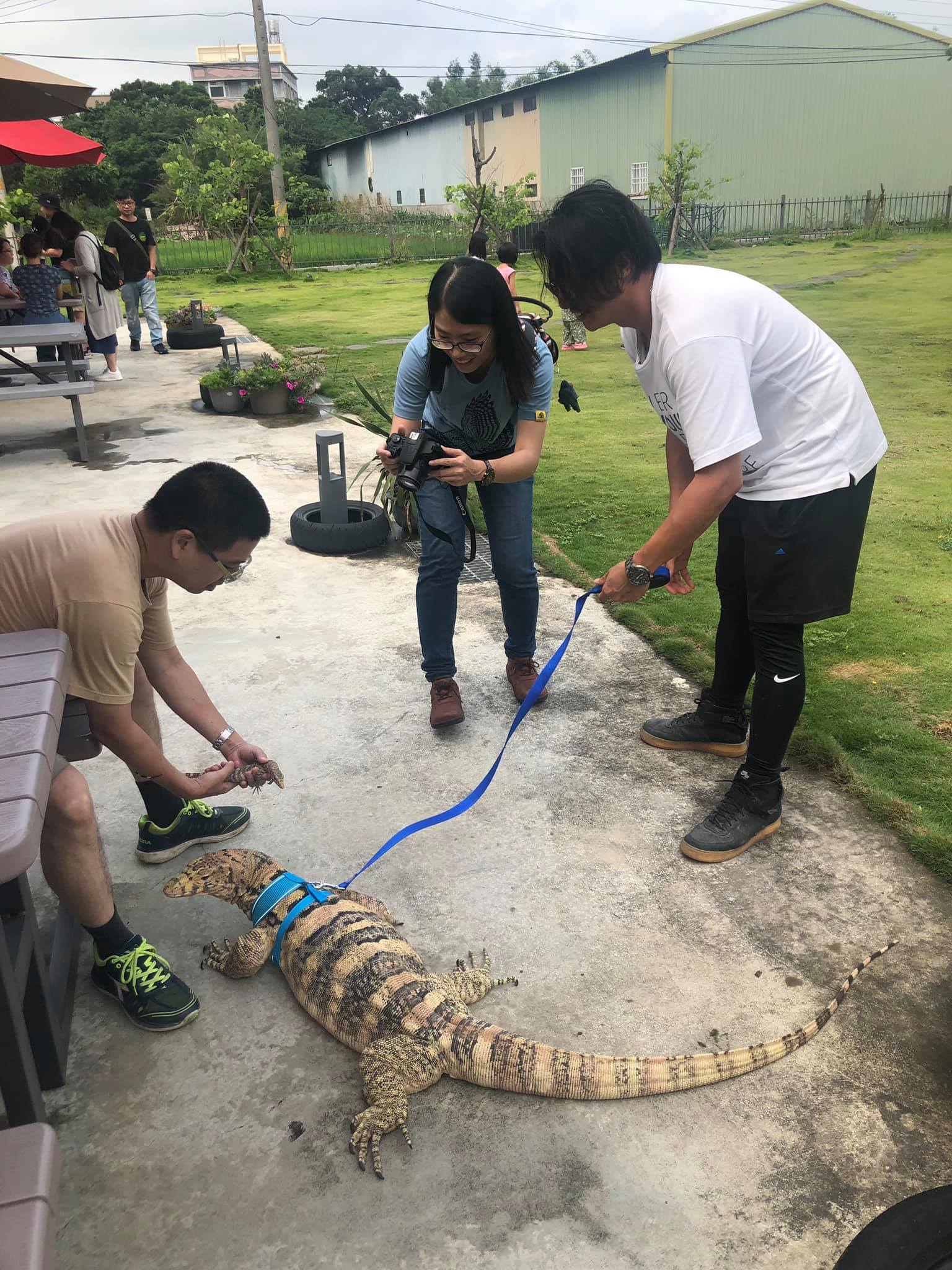 คาเฟ่ตัวเงินตัวทอง