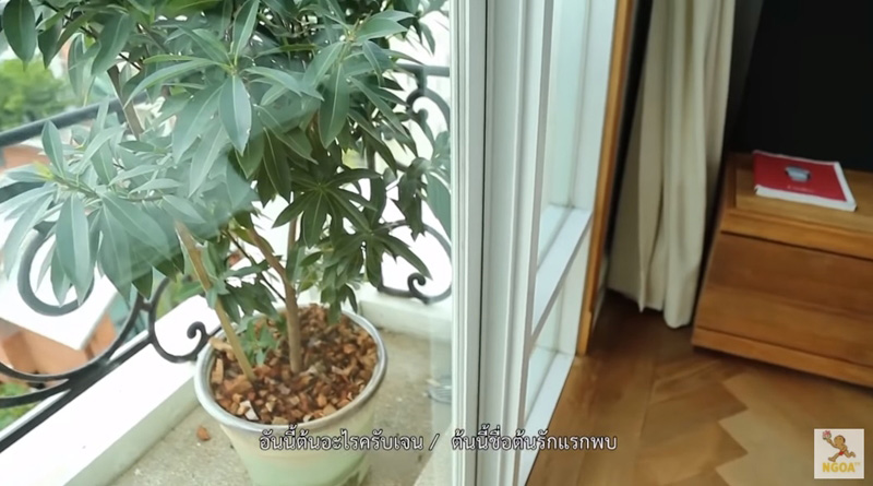 บ้านเจนสุดา