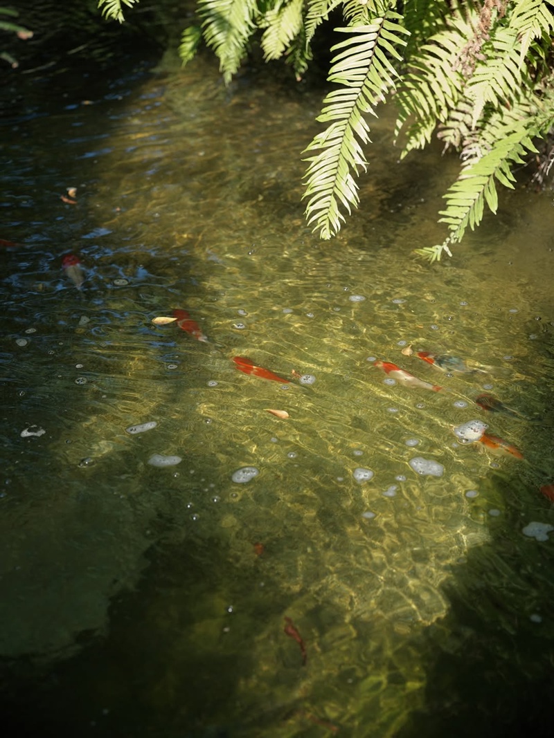 บ้านแอน ทองประสม