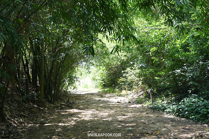 ป่าวังจันทร์