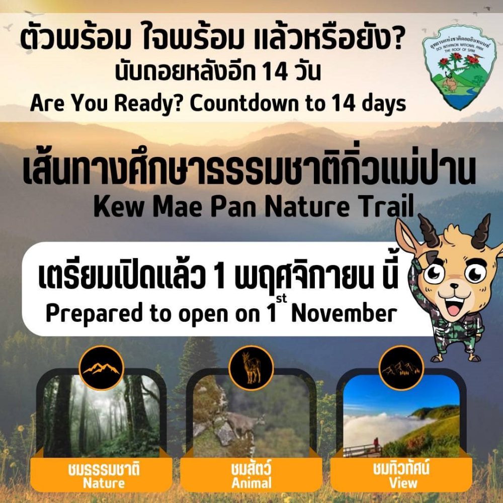 กิ่วแม่ปาน ปี 2567
