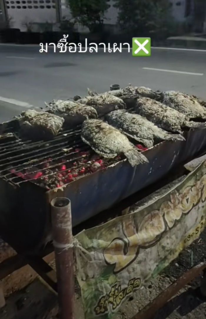 ซื้อปลาเผา