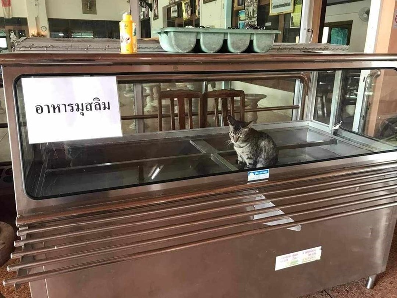 อาหารมุสลิม