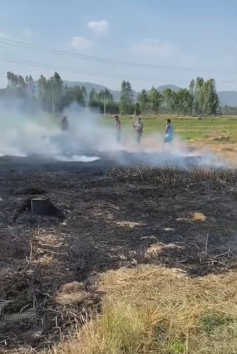 ทำไก่อบฟาง