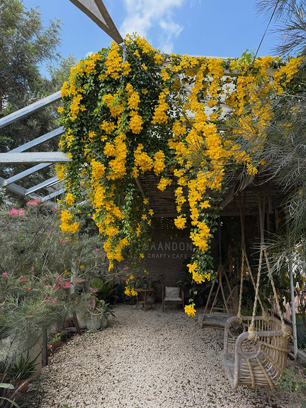 บ้านดอน คราฟท์ คาเฟ่ ร้านคาเฟ่ในสวน