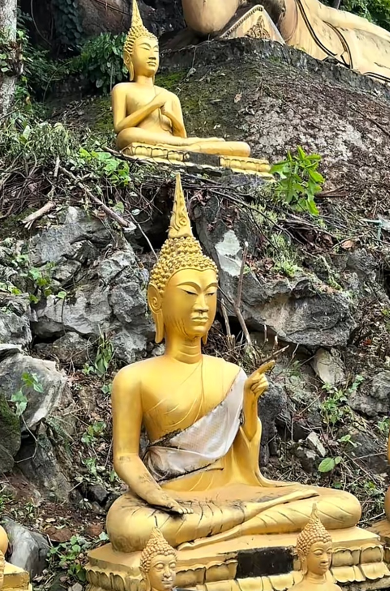 พระปาง