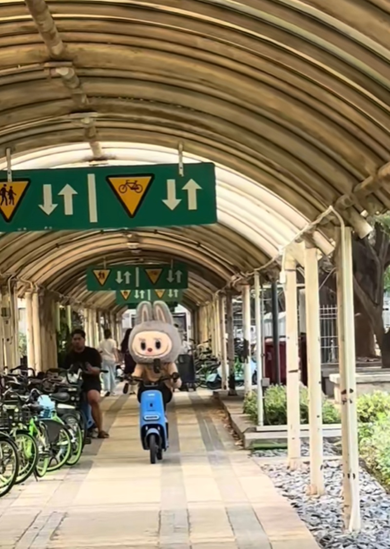 ลาบูบู้