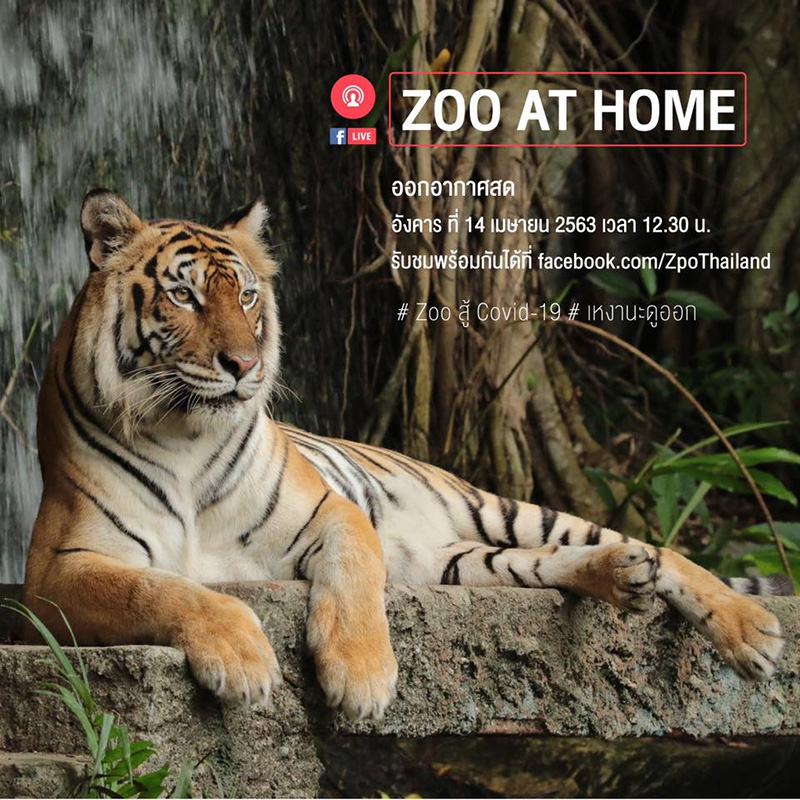 สวนสัตว์ออนไลน์