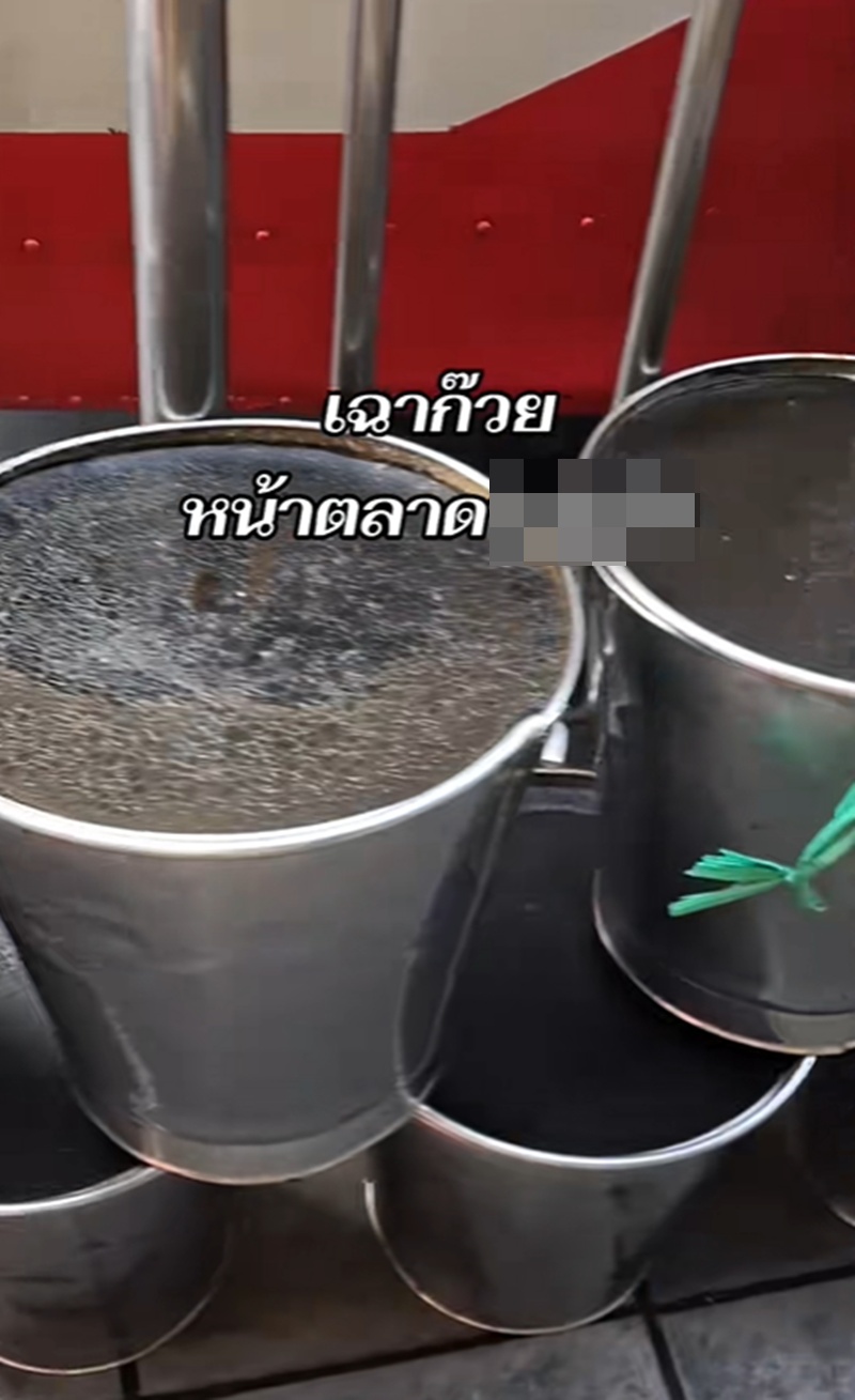 เฉาก๊วย