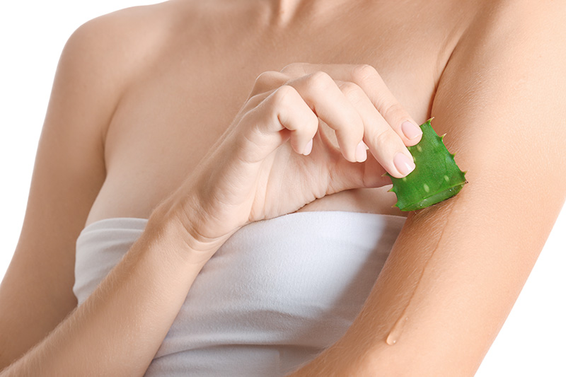 ว่านหางจระเข้