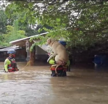 น้ำท่วมโคราช