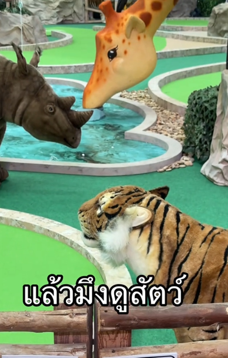 ให้อาหารสัตว์