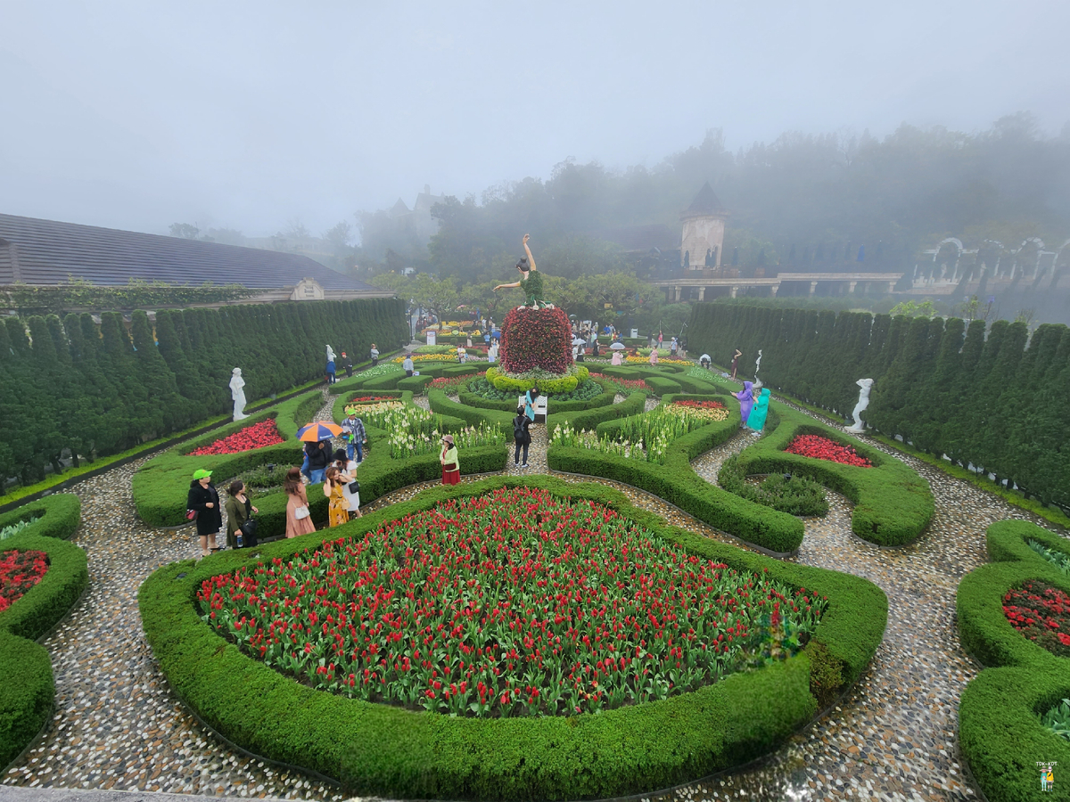 บานาฮิลล์