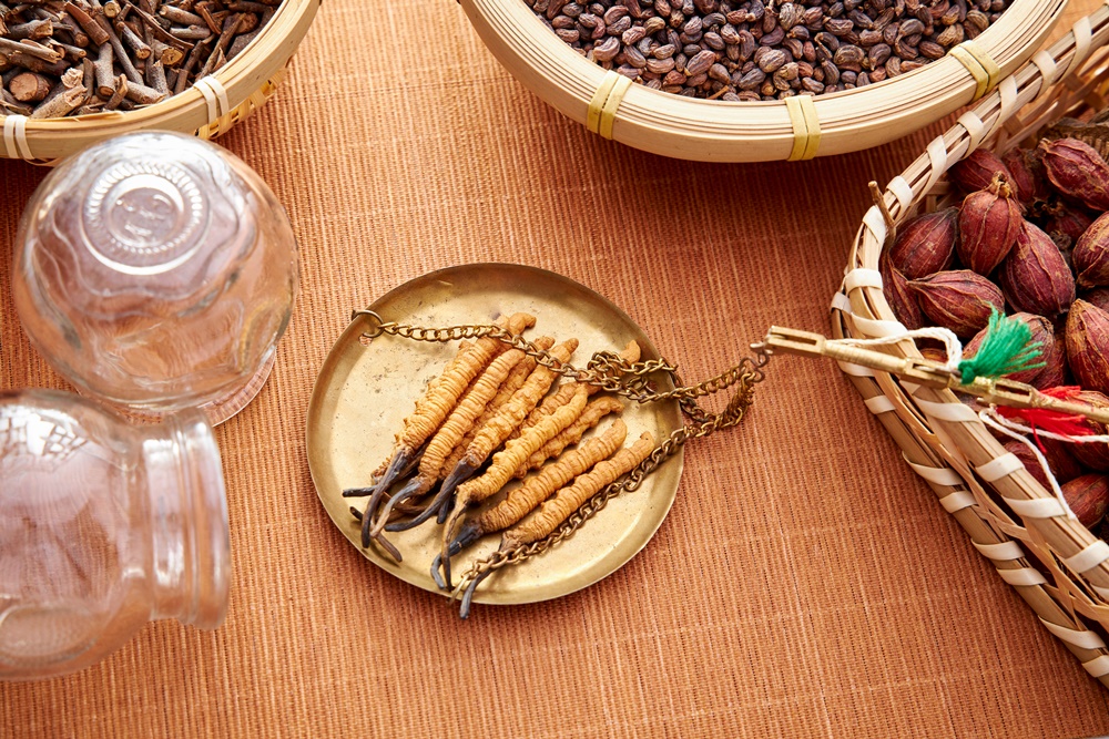 ถั่งเช่า