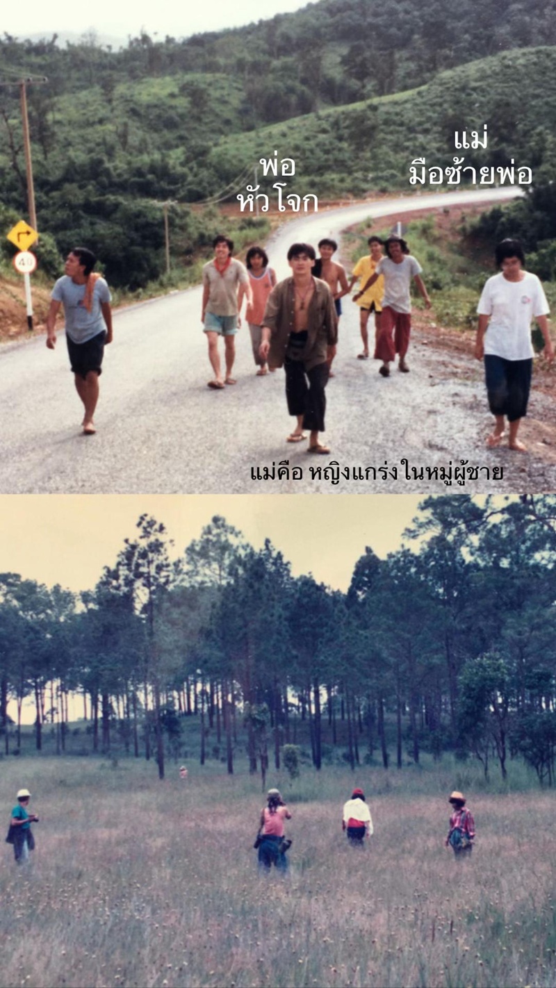 เดินป่า