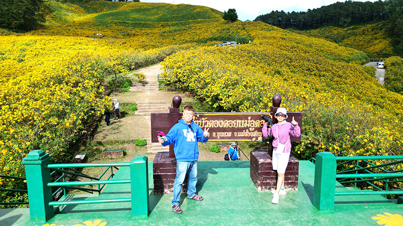 ทุ่งดอกบัวตอง ดอยแม่อูคอ