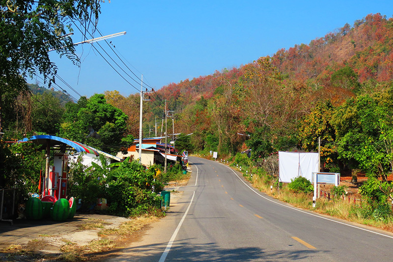 ป่าเปลี่ยนสี อุทยานแห่งชาติคลองลาน 2569