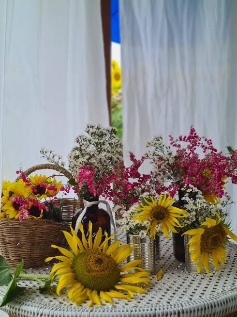 ทุ่งทานตะวัน กาญจนบุรี