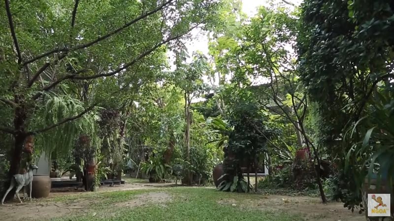 บ้านต๋อย ไตรภพ