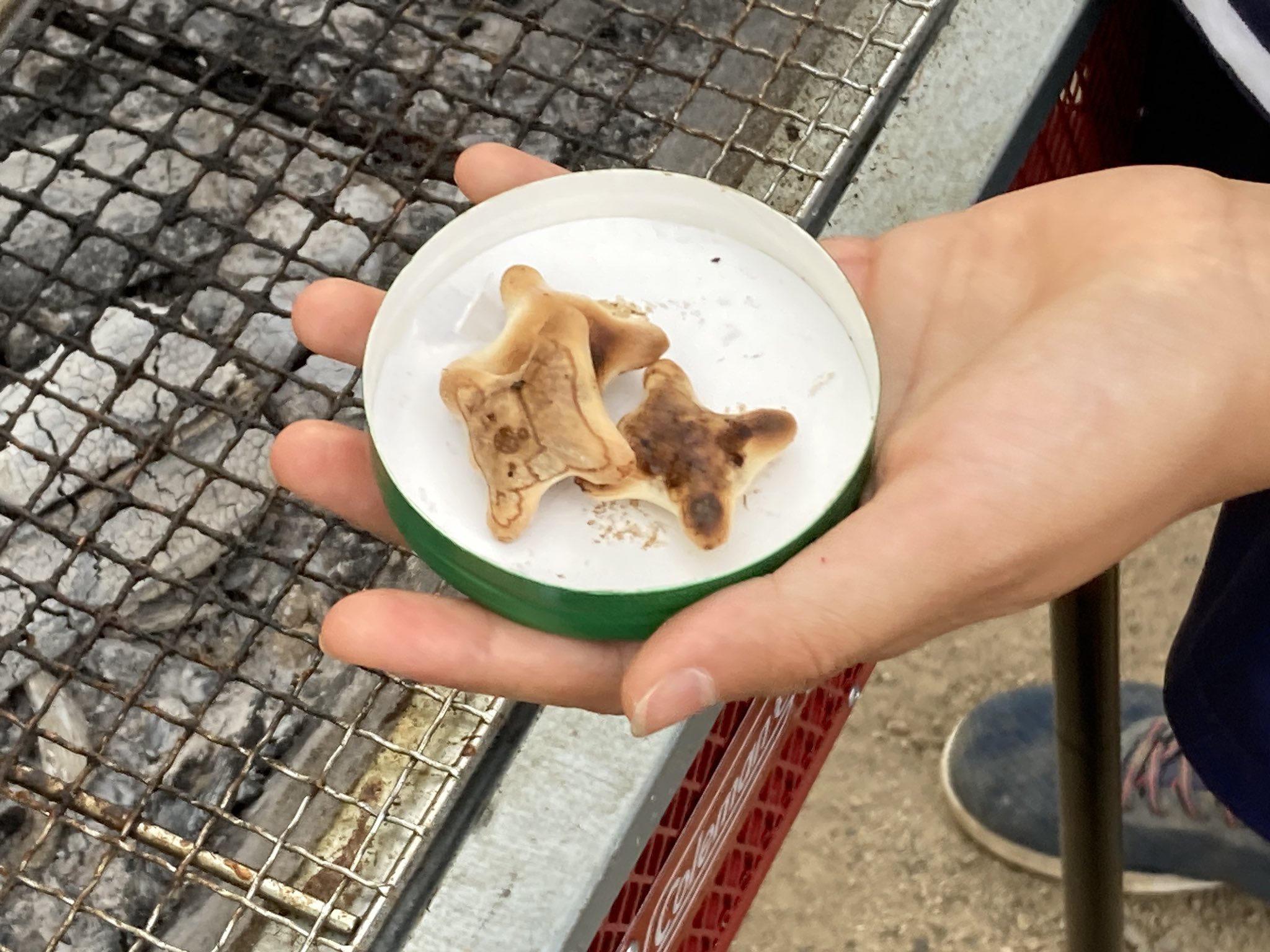 ขนมโคอาลามาร์ช