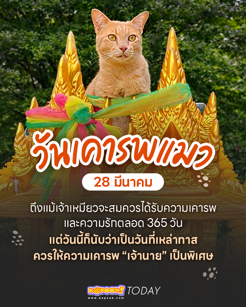 28 มีนาคม วันเคารพแมว
