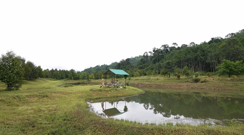 สวนทุเรียน ชาคริต จันทบุรี