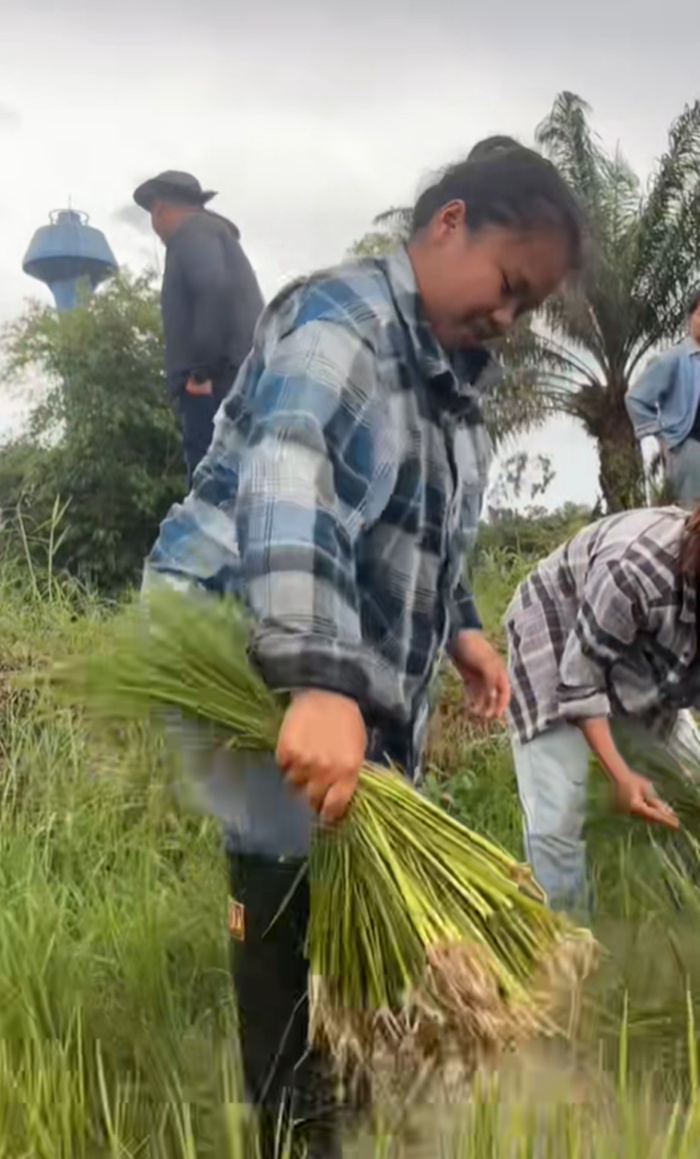 นักศึกษา