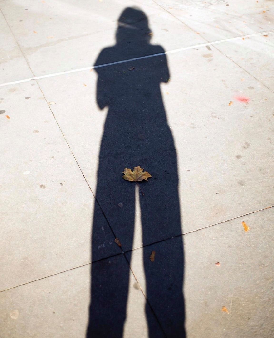 ภาพถ่าย