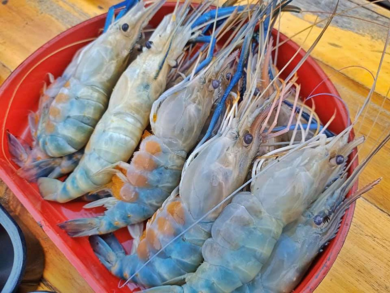 บุฟเฟ่ต์กุ้งแม่น้ำ