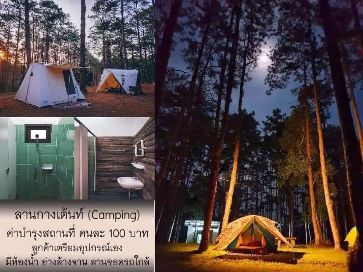 สวนป่าดอยบ่อหลวง เชียงใหม่