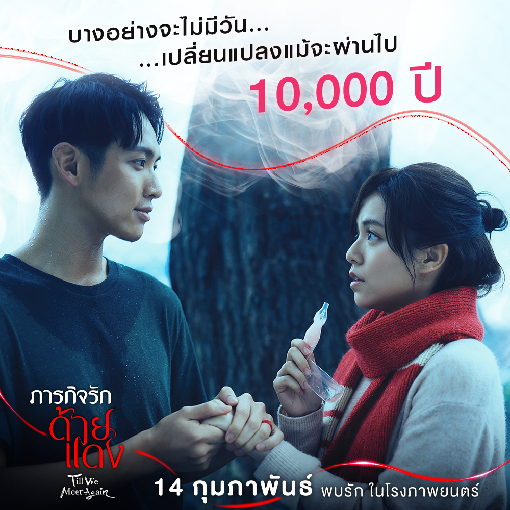 ภารกิจรักด้ายแดง Till We Meet Again