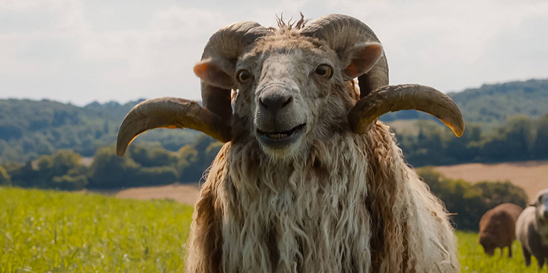 The Sheep Detectives แก๊งแกะรอยยอดนักสืบ หนังใหม่พฤษภาคม 2569 หนังใหม่ 2026 ภาพตัวอย่าง