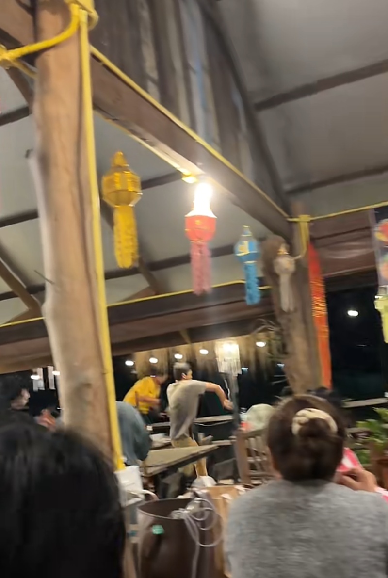 งูเข้าร้าน