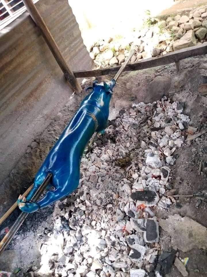 หมูหันอวตาร