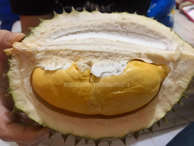 สวนผลไม้ตราด