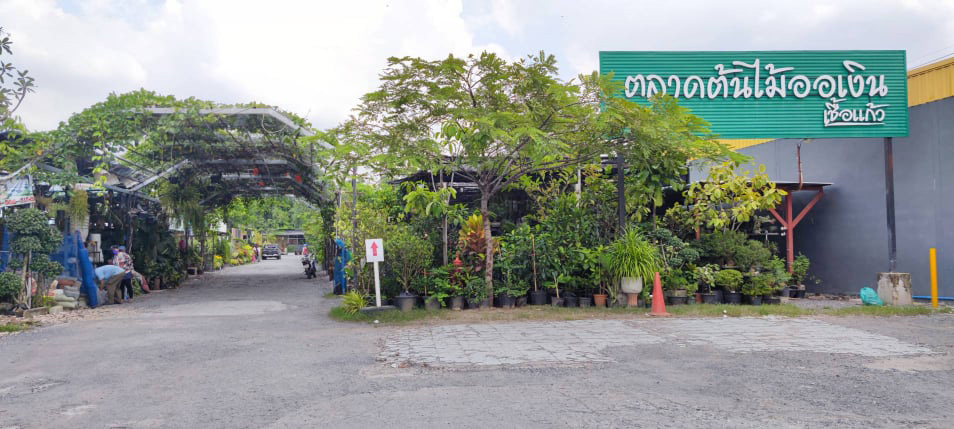 ตลาดต้นไม้