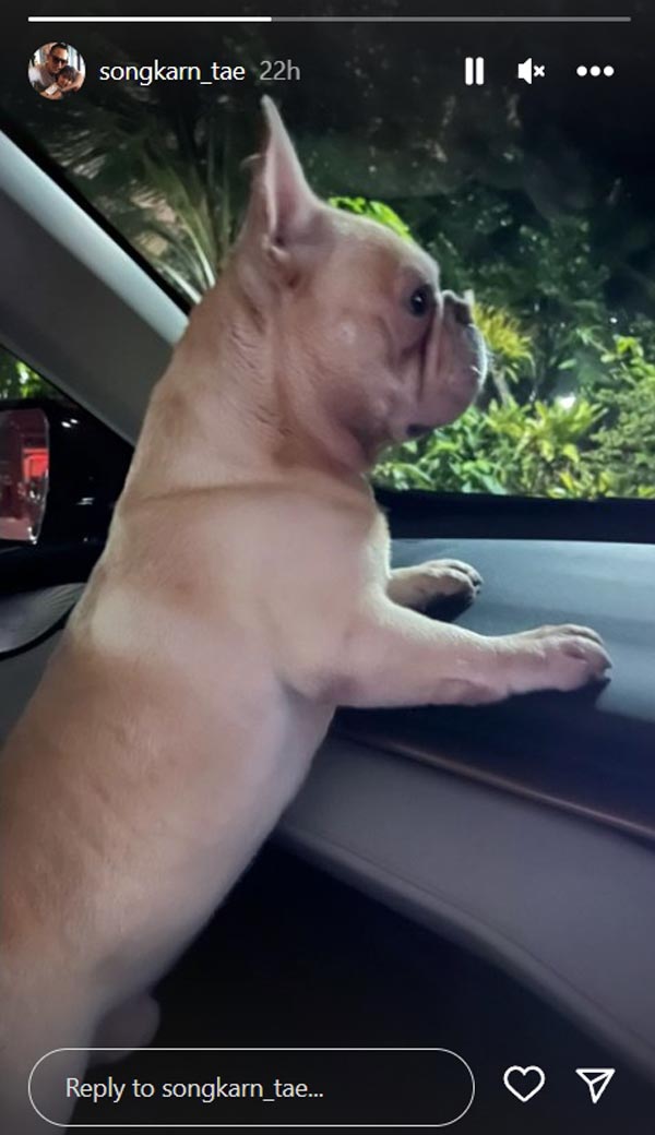 สงกรานต์ เตชะณรงค์