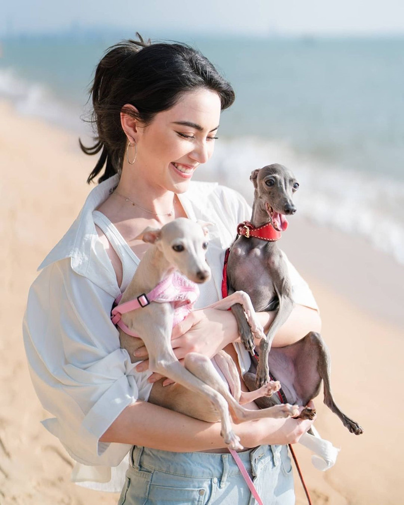 ใหม่ ดาวิกา