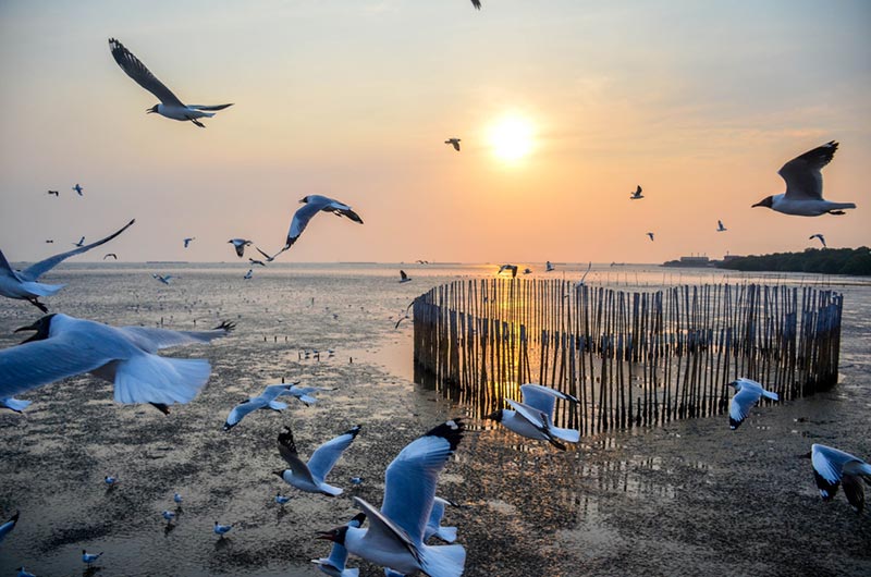 สถานที่ท่องเที่ยวสมุทรปราการ