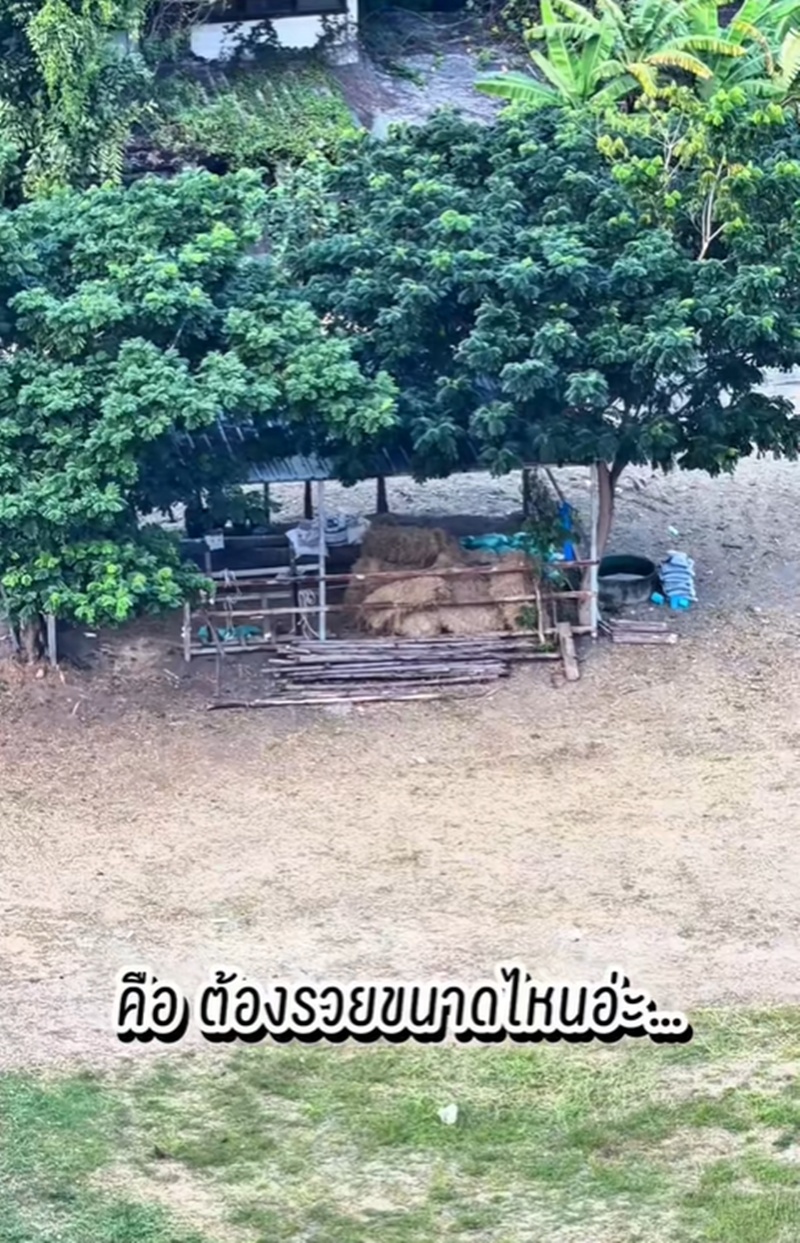 ลาดพร้าว