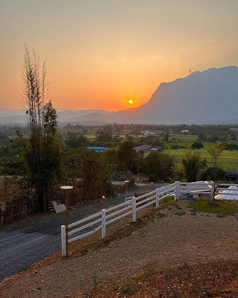 นายพลดอลล่าร์ หญิงแมงมุม 